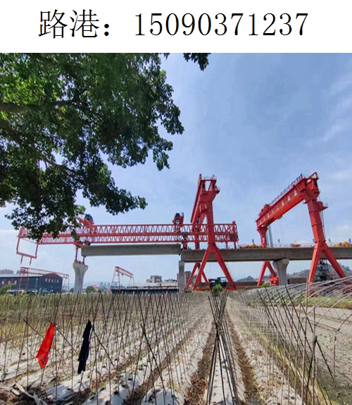 1237路港龙门吊(18)